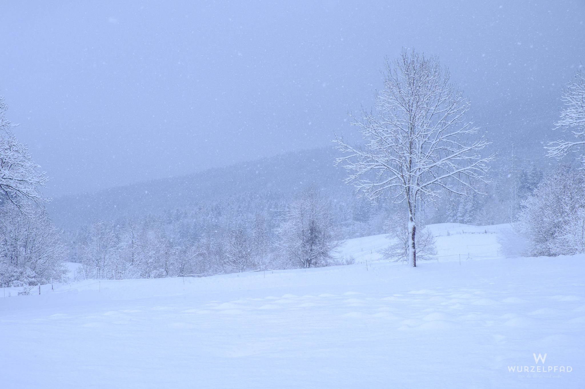 Winterlandschaft im Oberland